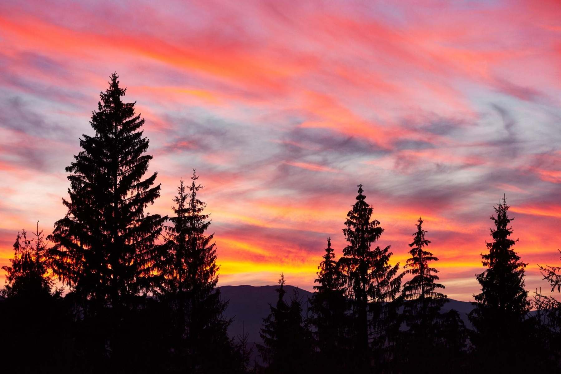 majestic sky pink cloud for health and wellbeing