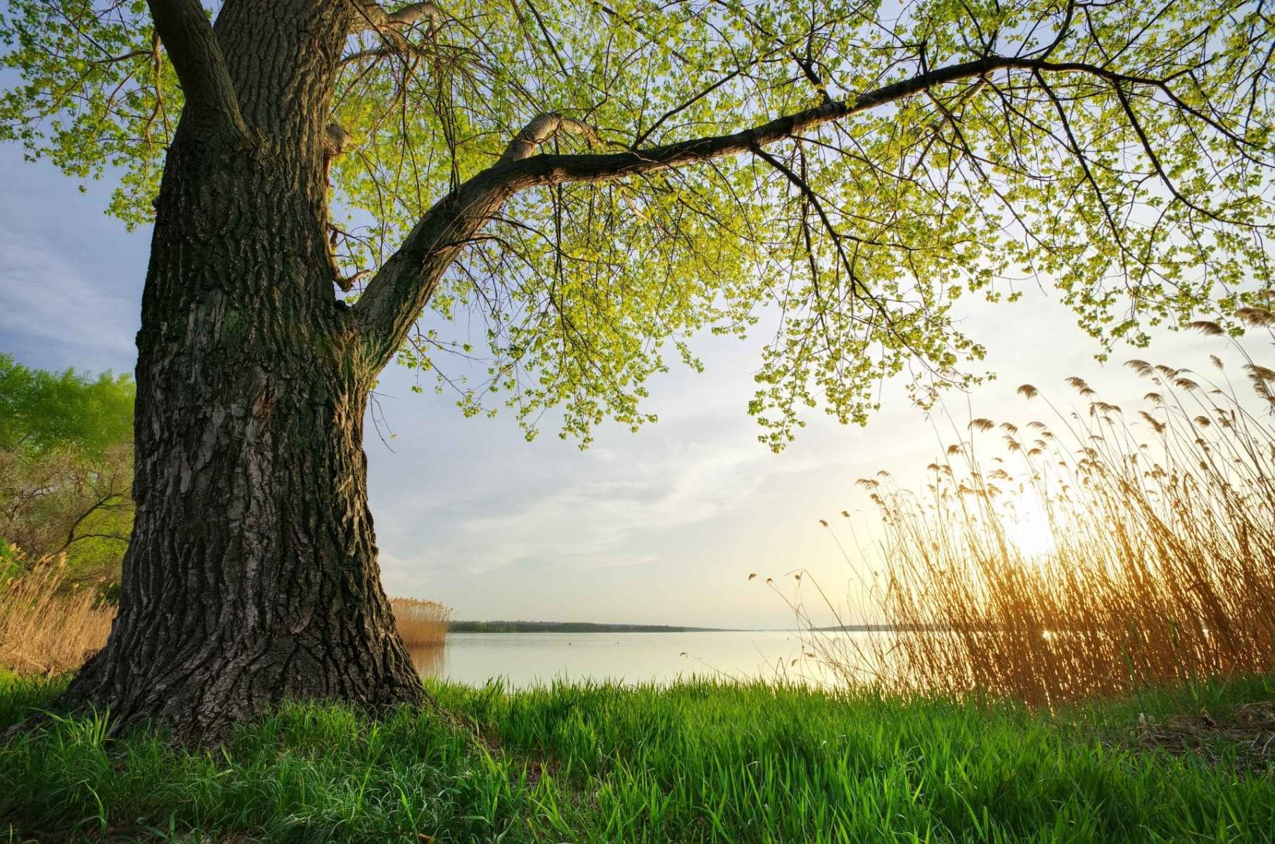 Peaceful outdoor setting supporting health and wellbeing coaching in London